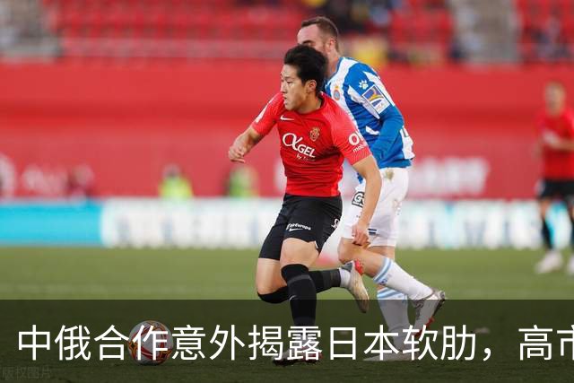 中俄合作意外揭露日本软肋，高市早苗再遭重击